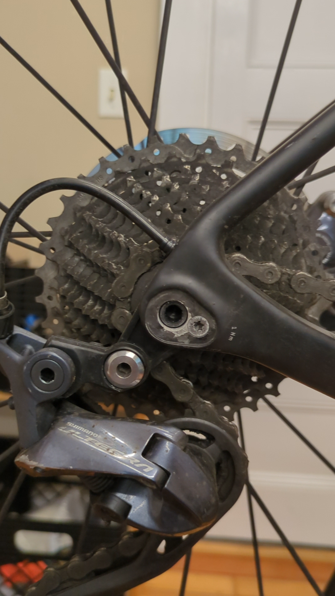 Canyon Endurance - All Road photo 4