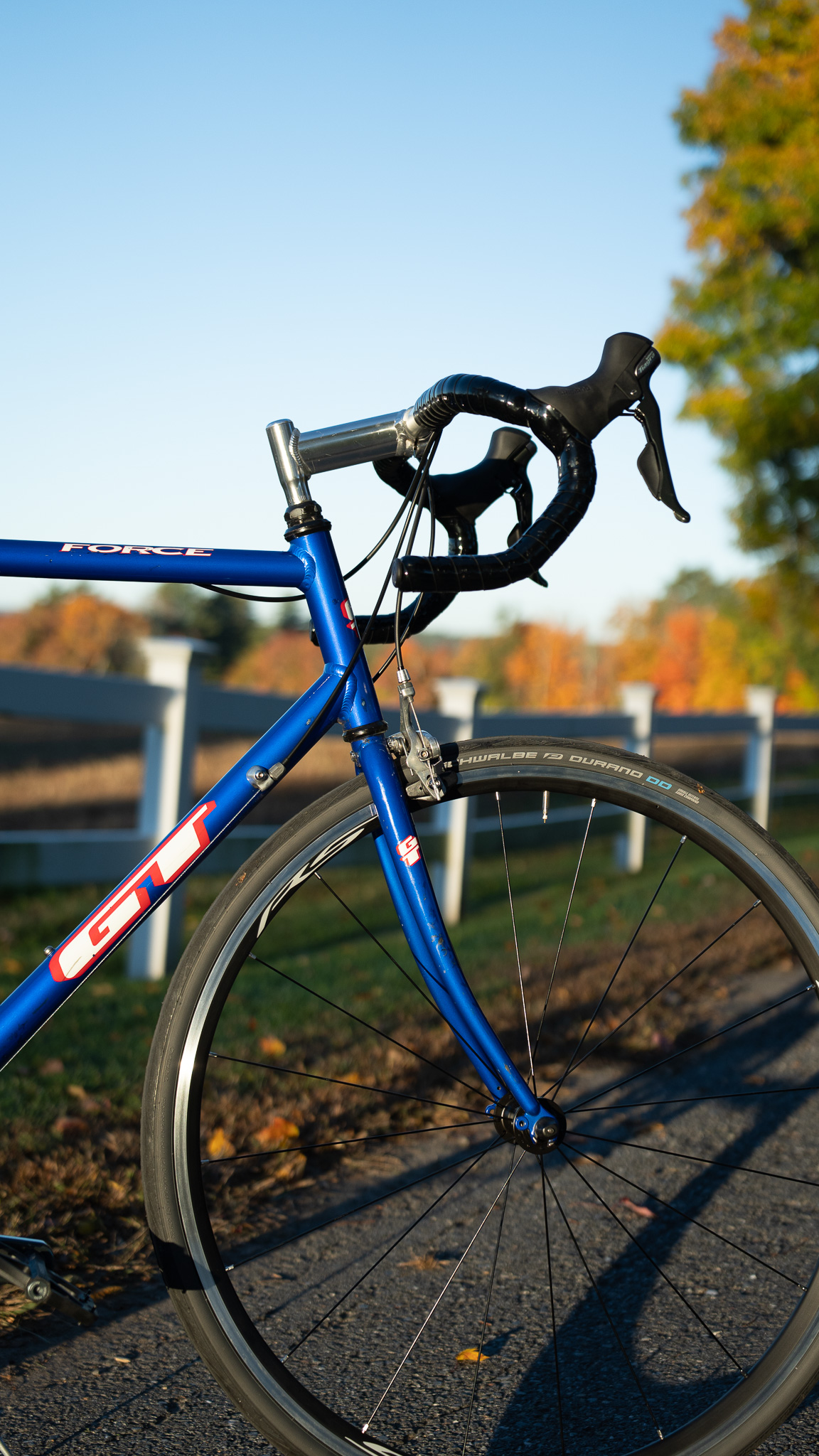 GT Force photo 4